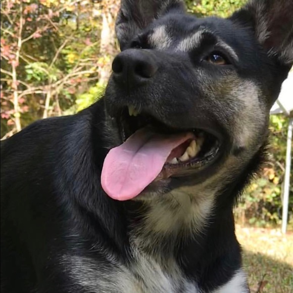 Meet your Posher, Stephen - Picture 1 of 1